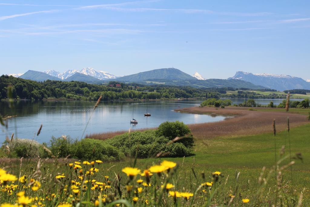 Haus Am Weinberg Apartman Seekirchen am Wallersee Kültér fotó